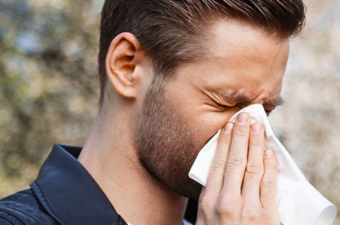 Lindring av nesesymptomer med Altimista