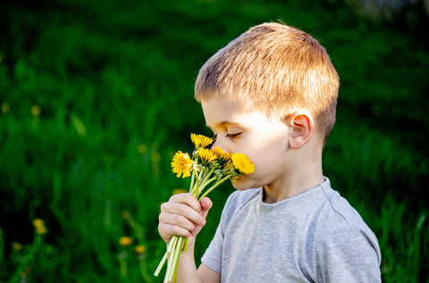 Blir barna mine allergiske?